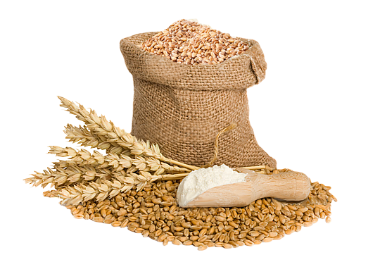 Купить пшеницу, нерафинированное подсолнечное масло по потовым ценам ТОО AltaiEXPORT
