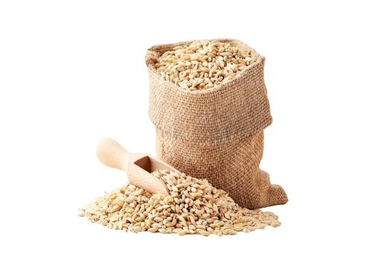 Купить пшеницу, нерафинированное подсолнечное масло по потовым ценам ТОО AltaiEXPORT